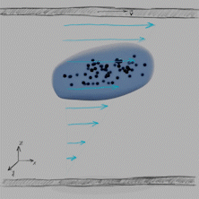 Behaviour of a magnetic nanogel in a shear flow